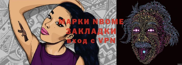 гидра Алексин