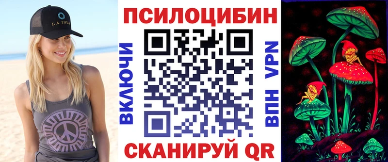 купить закладку Орёл Псилоцибиновые грибы Psilocybine cubensis