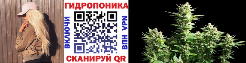 Бошки марихуана индика  blacksprut рабочий сайт  Орёл  купить наркотик 